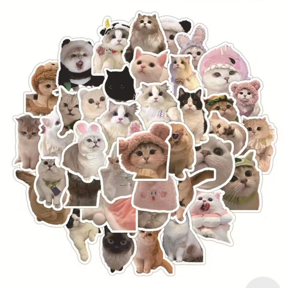 60 Cute Cat Stickers Kawaii Waterproof Vinyl Laptop Water Bottle Journal Scrapbo